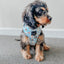 Dog Adjustable Harness - Sweets & Pawfee