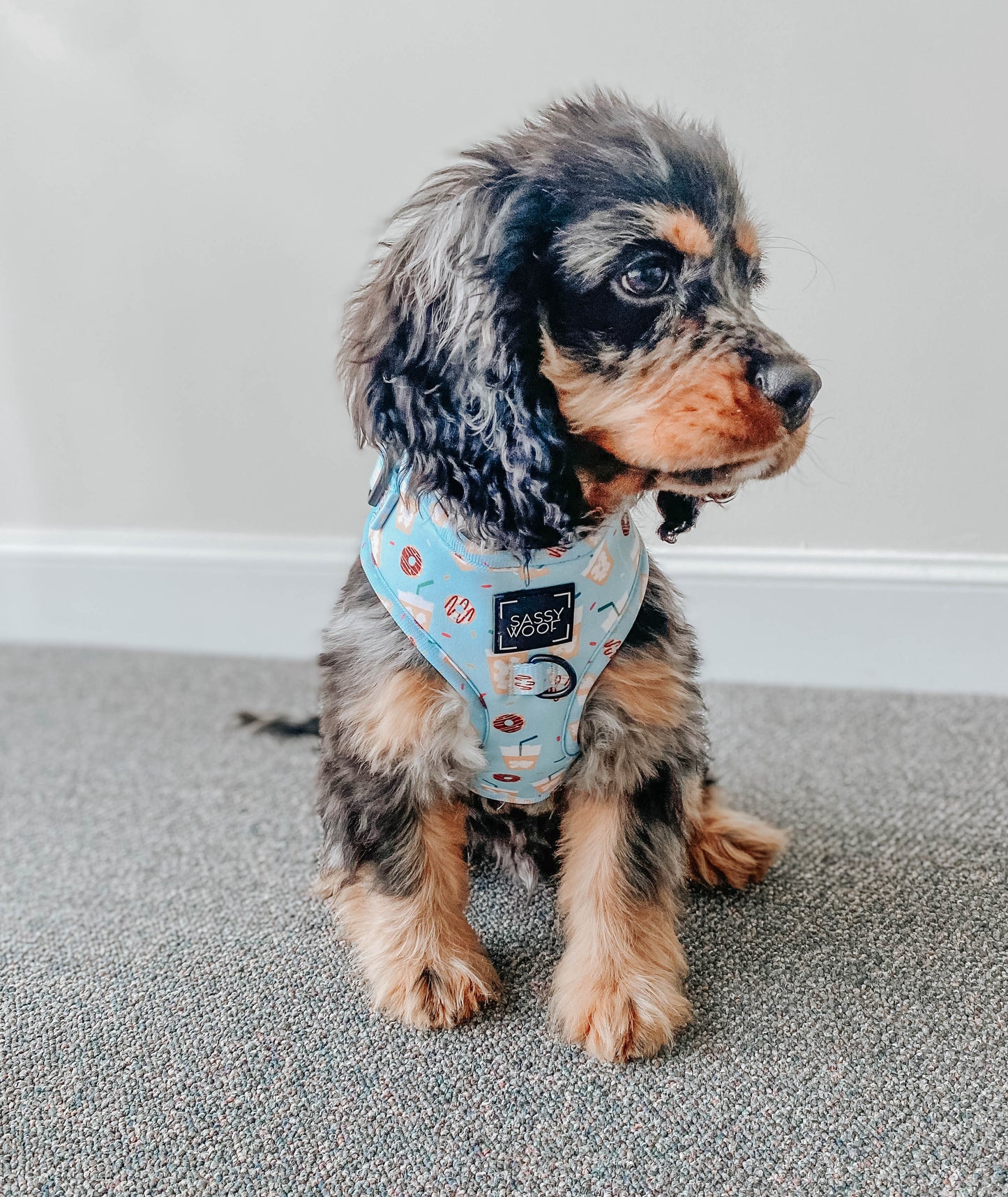 Dog Adjustable Harness - Sweets & Pawfee