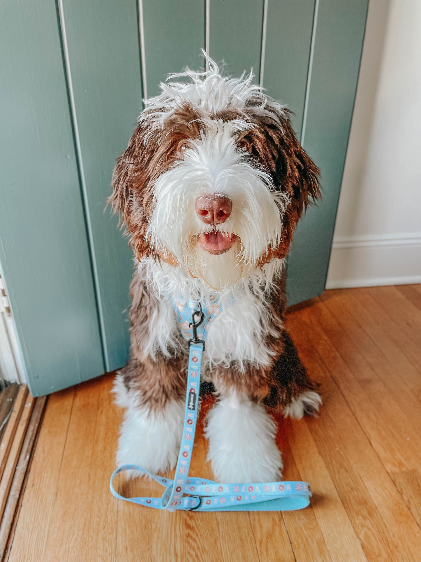 Dog Adjustable Harness - Sweets & Pawfee