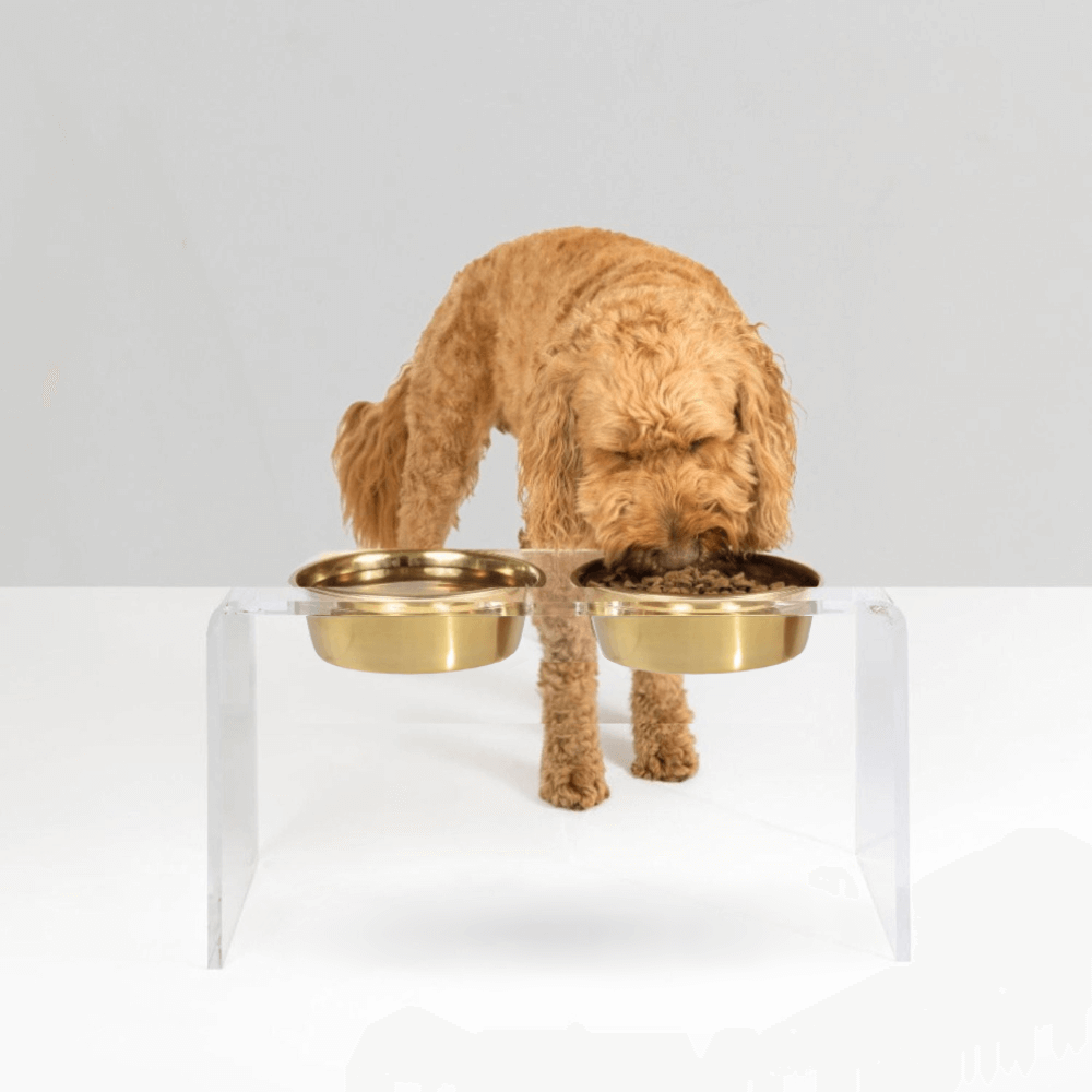 Tall Gold Double Feeder