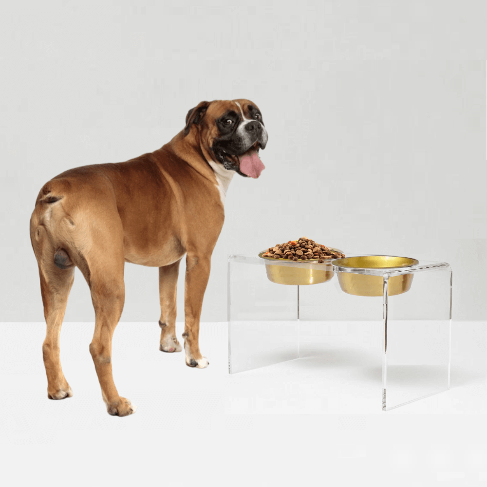 Tall Gold Double Feeder