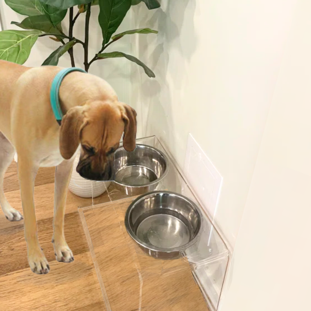 Clear Overflow Feeder Tray