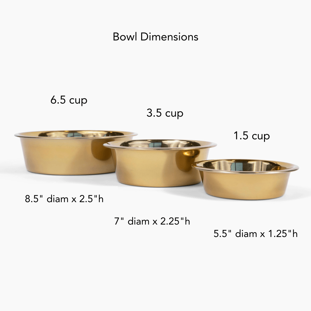 Hiddin Metal Pet Bowls Set