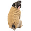 Toy Breed Dog Sweaters - XXS