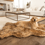 PupRug by Paw.com® Faux Fur Orthopedic Dog Bed - Curve Sable Tan