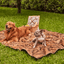 PupProtector™ Summer Short Fur Waterproof Throw Blanket - Sable Tan
