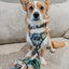 Dog Collar - Peanuts™ Beagle Scouts