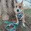 Dog Leash - Peanuts™ Beagle Scouts
