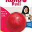 Kong Ball Medium