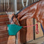 The Better Bucket – 2.5 & 5 Gallon Horse and Cattle Feeder, Ergonomic Feed