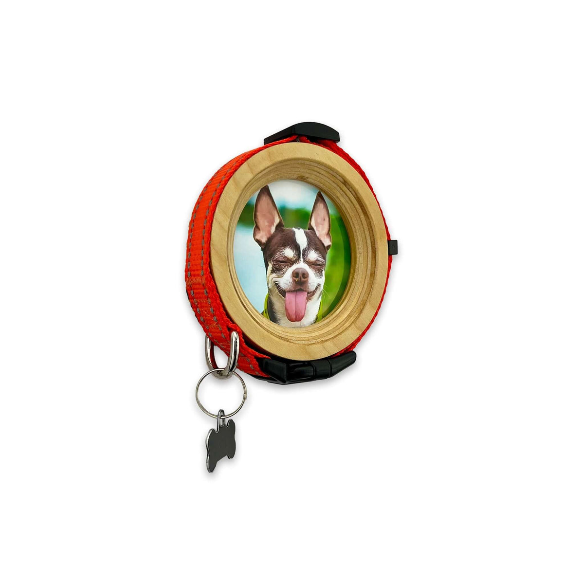 Small Dog Collar Frame | "The Chihuahua"