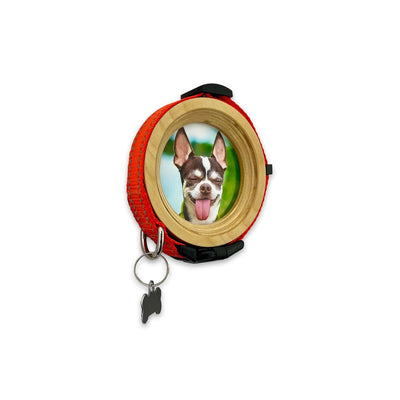 Small Dog Collar Frame | "The Chihuahua"