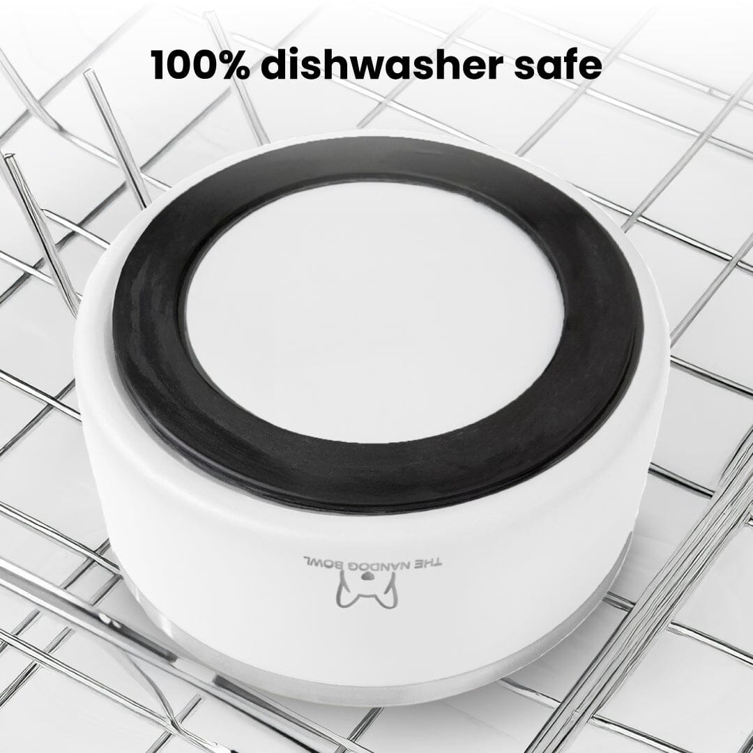 The Dog Bowl in White
