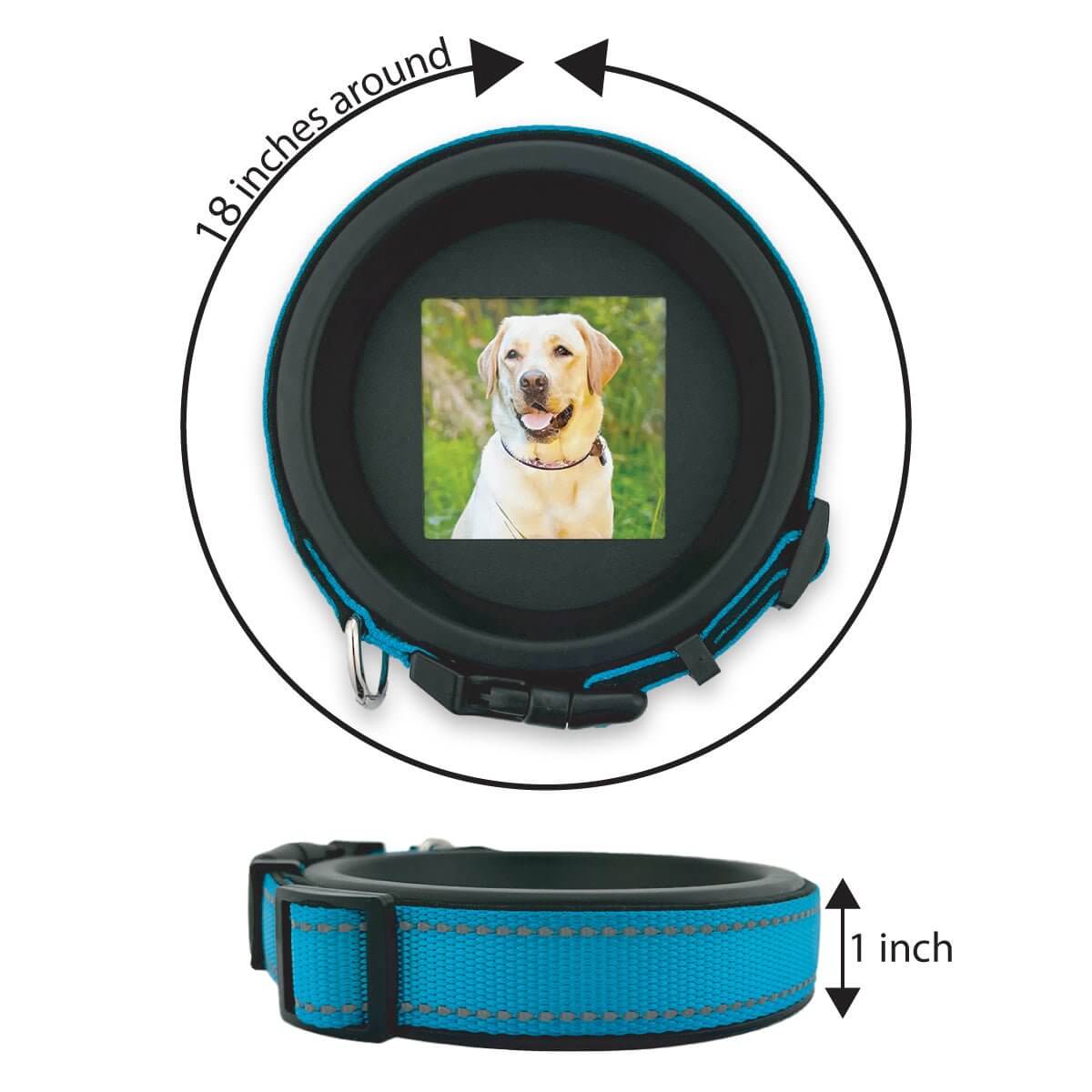 Large Dog Collar Frame and Stand Bundle | "The Labrador" Resin