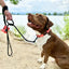 The Leash Lasso
