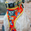 Dog Adjustable Harness - Wonder Woman™