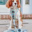 Dog Leash - Peach Please