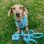 Dog Adjustable Harness - Blueberry Milk