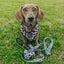 Dog Adjustable Harness - Whole Milk
