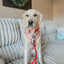 Dog Adjustable Harness - Hot Cocoa Club