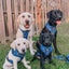 Dog Adjustable Harness - Peanuts™ Snoopy in Space