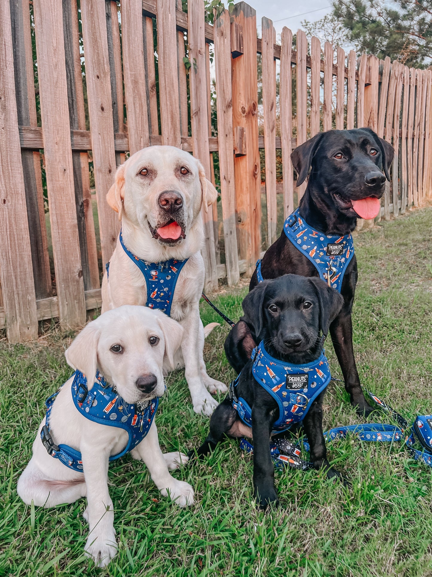 Dog Adjustable Harness - Peanuts™ Snoopy in Space