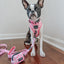 Dog Leash - Strawberry Milk