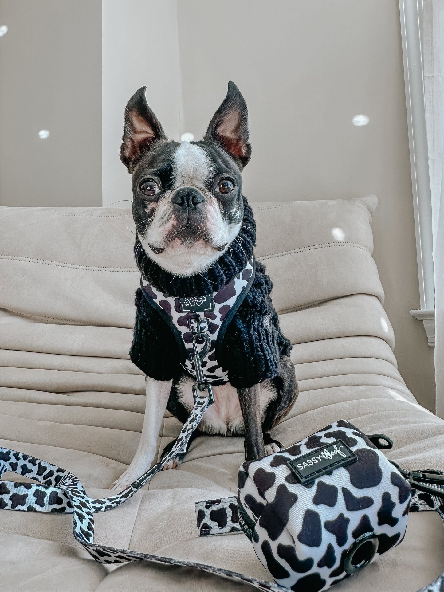 Dog Adjustable Harness - Whole Milk