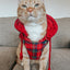 Dog Reversible Sherpa Jacket - Deck the Paws