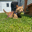 Cat Leash - STAR WARS™ The Dark Side