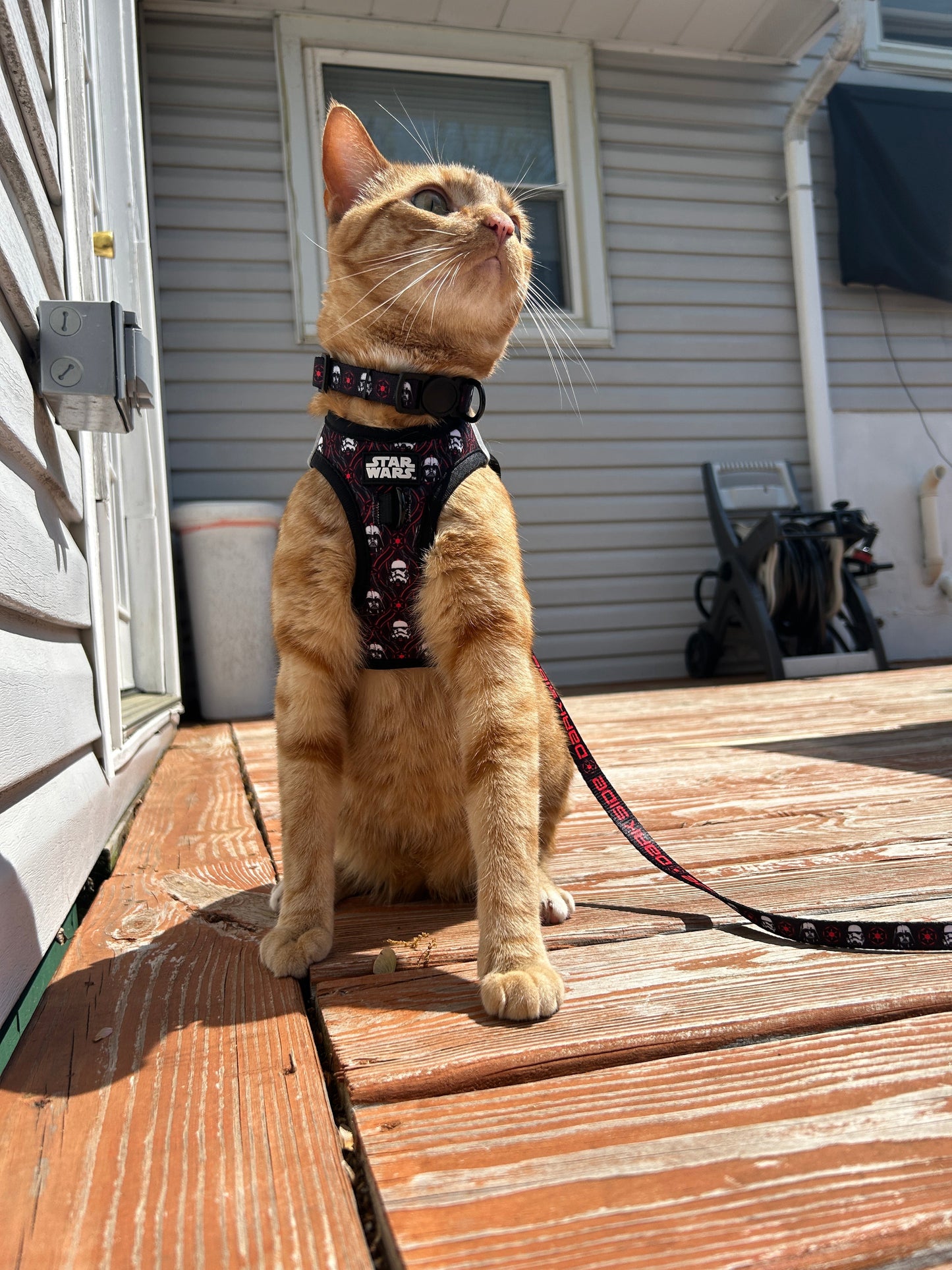 Cat Leash - STAR WARS™ The Dark Side