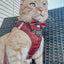 Cat Step-In Harness - Deck the Paws
