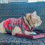 Cat Leash - Deck the Paws