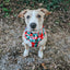Dog Adjustable Harness - Jingle Barks