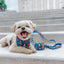 Dog Collar - Superman™ & Krypto™