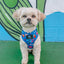 Dog Adjustable Harness - Blue's Clues™