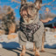 Dog Adjustable Harness - Whole Milk