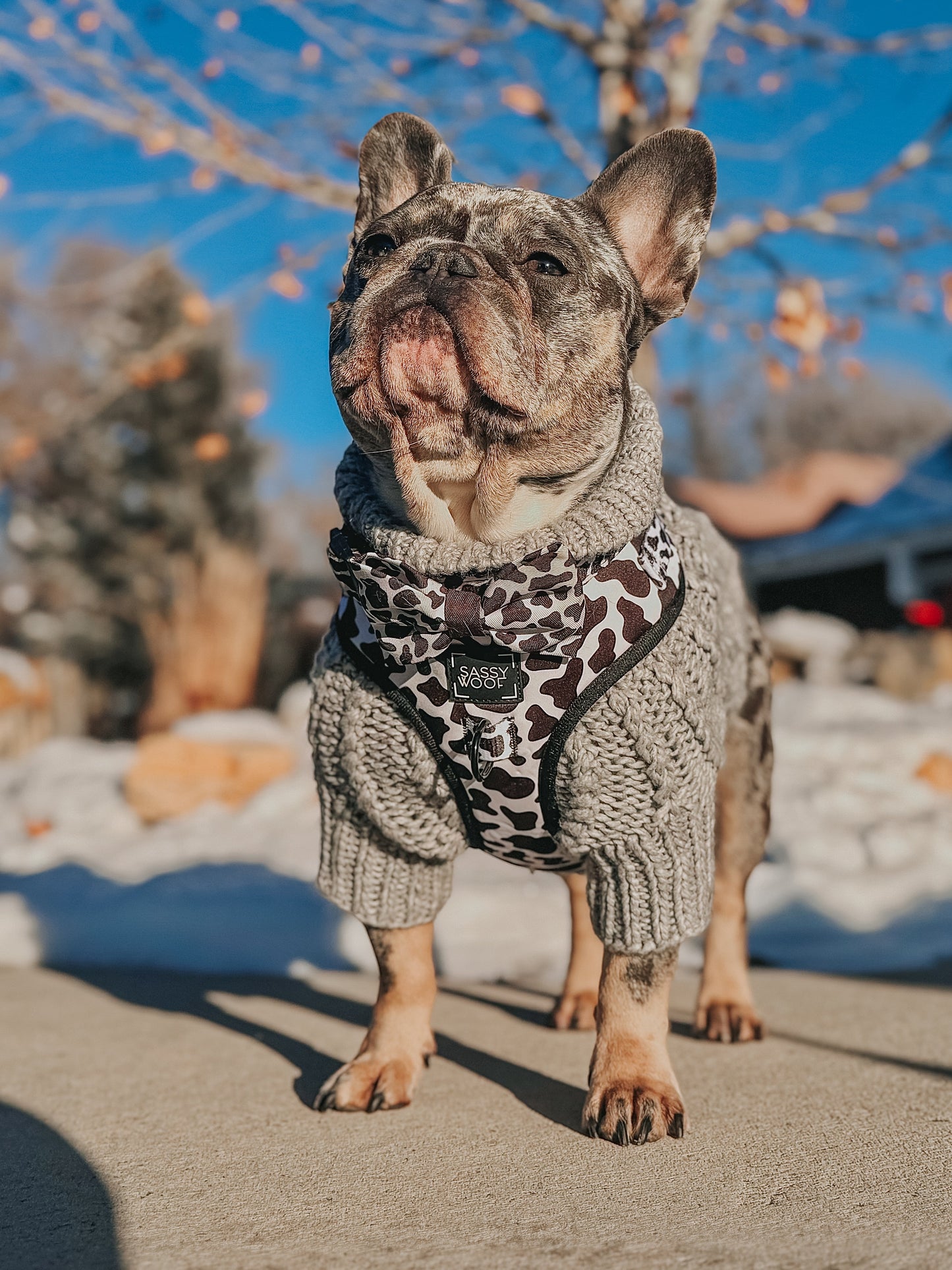 Dog Adjustable Harness - Whole Milk