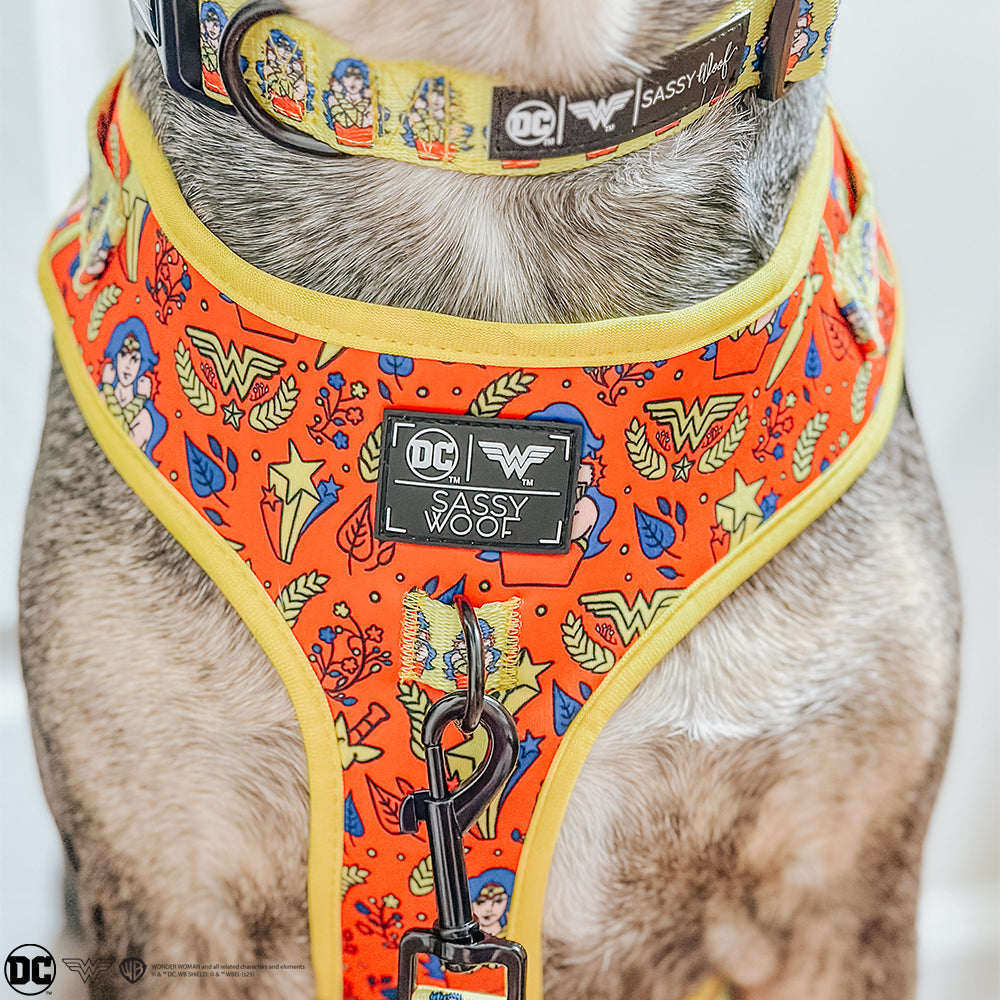 Dog Adjustable Harness - Wonder Woman™
