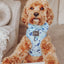 Dog Adjustable Harness - Berry Sassy