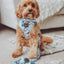 Dog Adjustable Harness - Berry Sassy