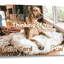 Paw.com Gift Card