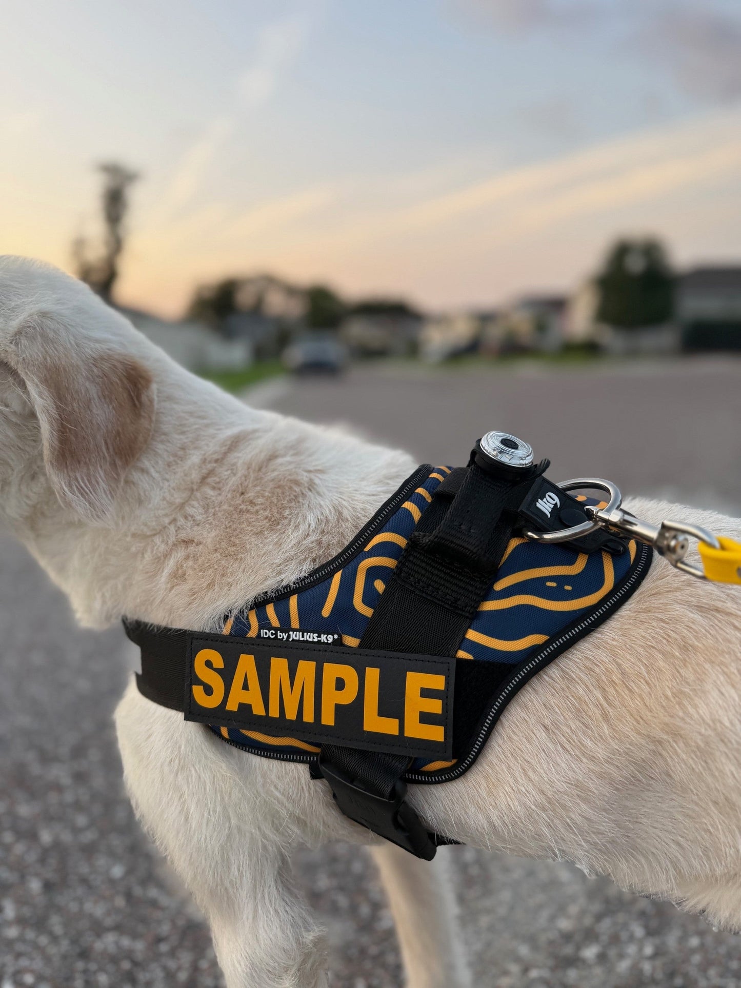 Julius-K9 Original Custom Patches, 1 Piece