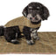 Touchdog ® 2-In-1 Windowpane Plaid Dog Jacket and Matching Reversible Dog Mat