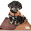 Touchdog ® 2-In-1 Windowpane Plaid Dog Jacket and Matching Reversible Dog Mat