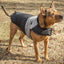 Touchdog ® Lightening-Shield 2-in-1 Dual-Removable-Layered Waterproof Dog Jacket