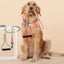 Touchdog ® 'Macaron' 2-in-1 Durable Nylon Dog Harness and Leash