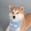 Touchdog ® 'Macaron' 2-in-1 Durable Nylon Dog Harness and Leash