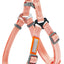 Touchdog ® 'Macaron' 2-in-1 Durable Nylon Dog Harness and Leash