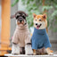 Touchdog ® 'Modress' Fashion Designer Dog Sweater and Dress